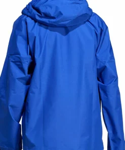 Adidas Men's Terrex Xperior 2L Gore-Tex Performance Jacket Semi Lucid Blue