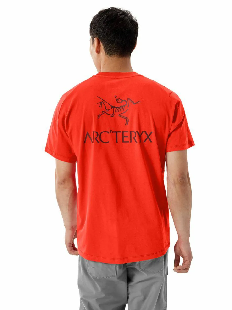 Arc'teryx Men's Kragg SL Cotton Bird Word Shortsleeve Dynasty/Mars