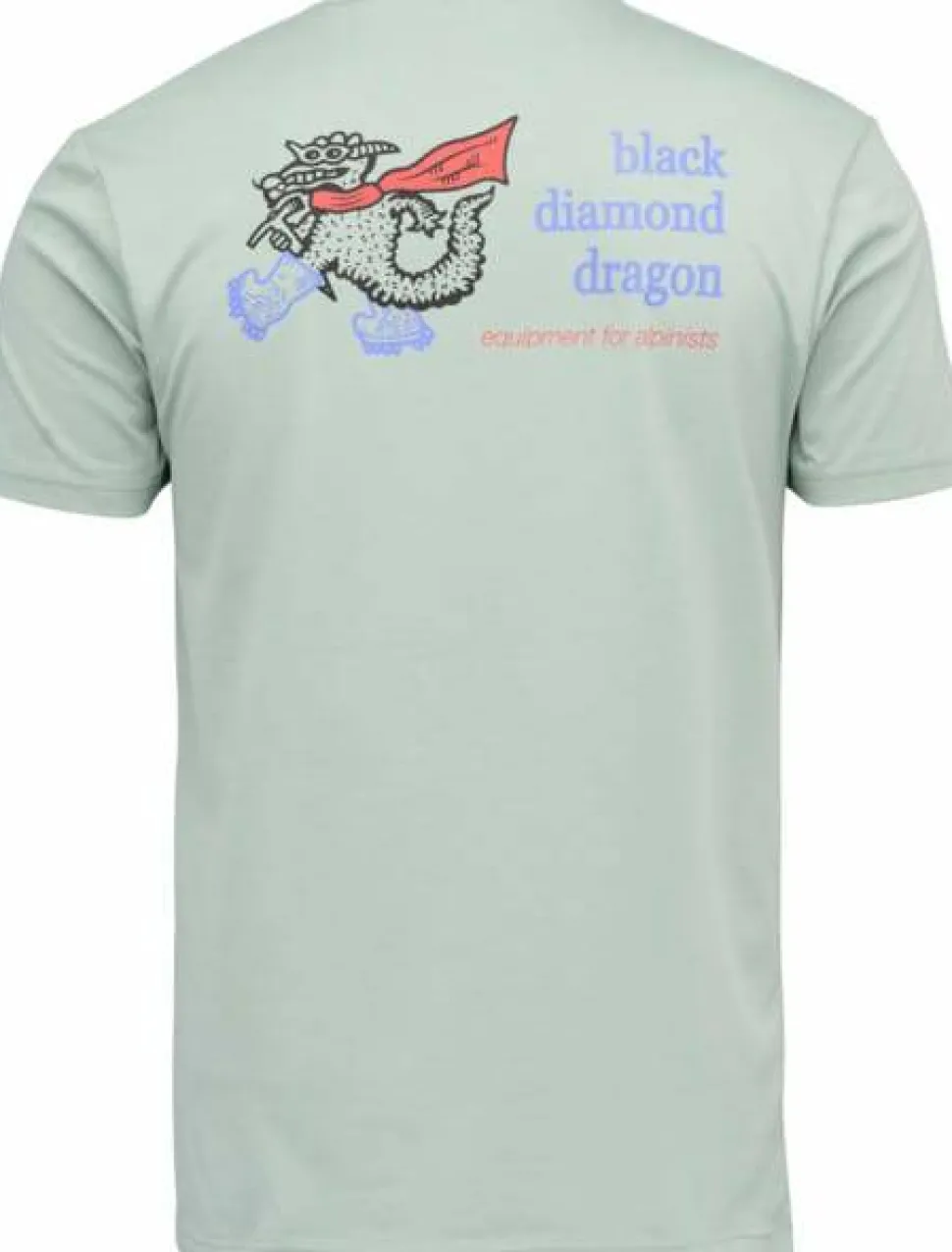 Black Diamond Men's BD Dragon Short Sleeve Tee Agave