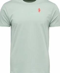 Black Diamond Men's BD Dragon Short Sleeve Tee Agave
