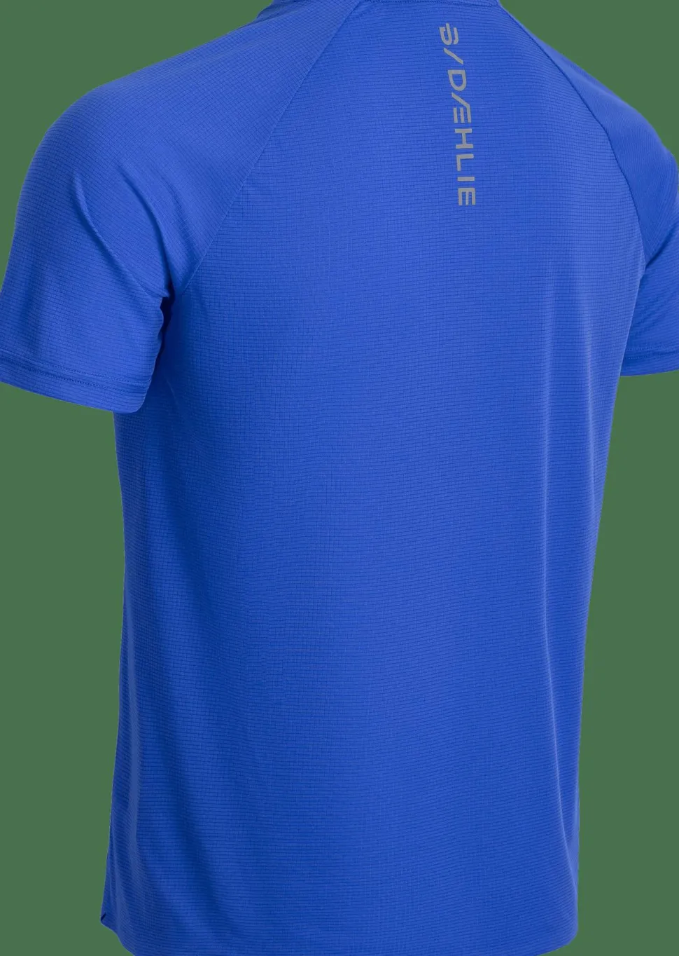 Dæhlie Men's T-Shirt Run 365 Future Blue