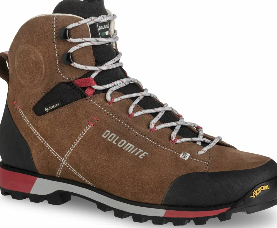 Dolomite Men's 54 Hike Evo GORE-TEX Bronze Brown