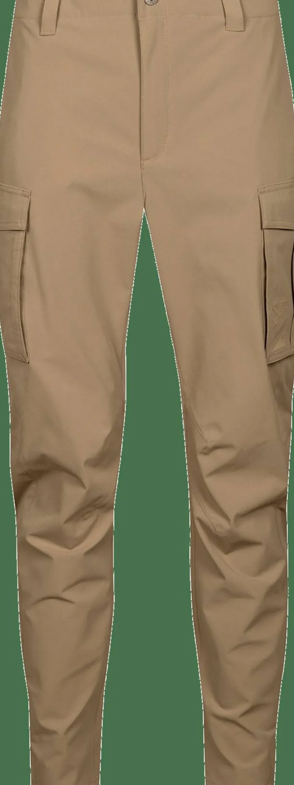 Halti Men's Roams Cargo Pants Greige