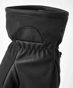Hestra Vemdalen CZone 5-finger Black