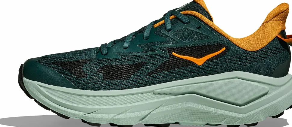 Hoka Men's Challenger 8 Bay Leaf/Sage