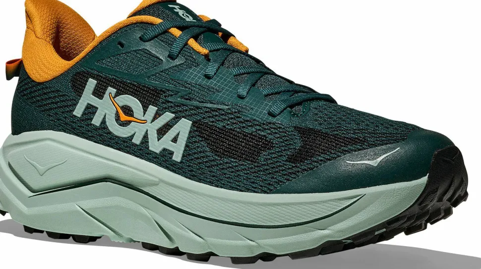 Hoka Men's Challenger 8 Bay Leaf/Sage