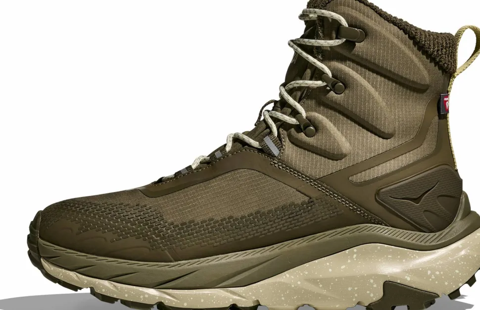 Hoka Men's Kaha 2 Frost GORE-TEX Antique Olive/Oyster Mushroom