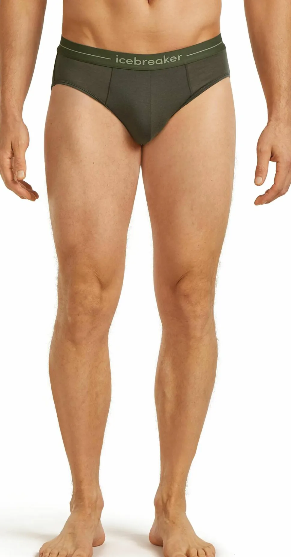 Icebreaker Men's 150 Anatomica Briefs Dk Loden