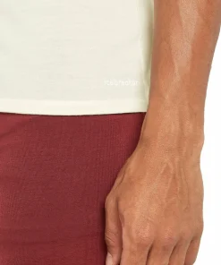 Icebreaker Men's Anatomica Shortsleeve Crewe Undyed