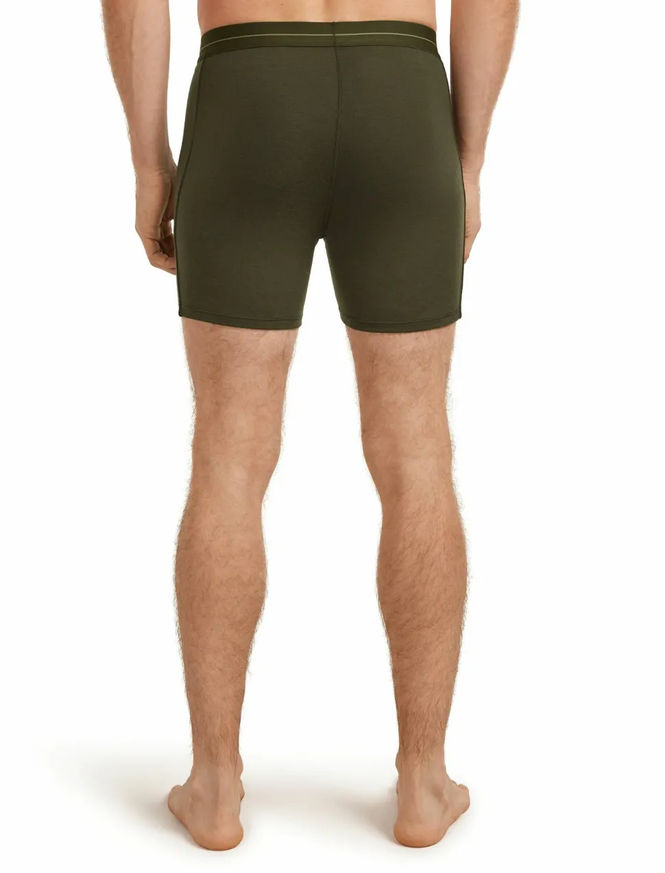 Icebreaker Men's Anatomica Boxers Dk Loden