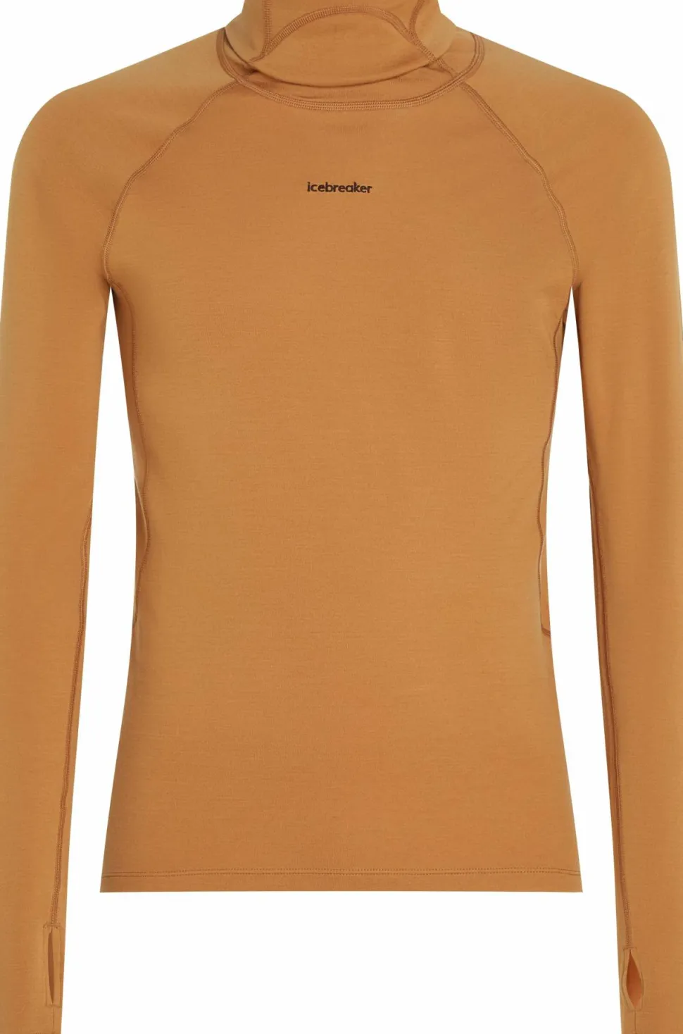 Icebreaker Men's Merino 300 Merinofine™ Polar Long Sleeve Roll Neck Trail