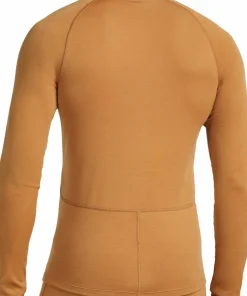 Icebreaker Men's Merino 300 Merinofine™ Polar Long Sleeve Roll Neck Trail