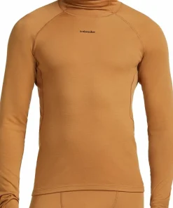 Icebreaker Men's Merino 300 Merinofine™ Polar Long Sleeve Roll Neck Trail