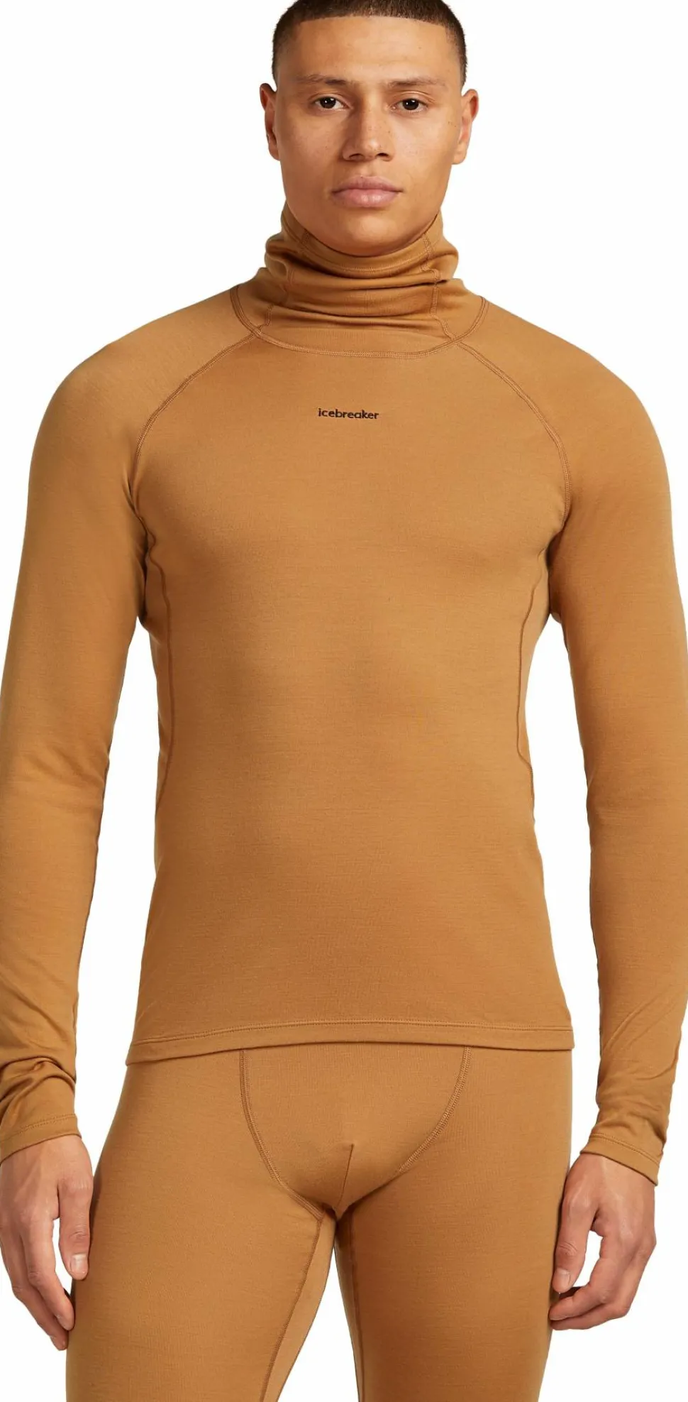 Icebreaker Men's Merino 300 Merinofine™ Polar Long Sleeve Roll Neck Trail