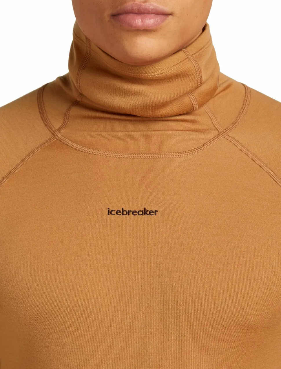 Icebreaker Men's Merino 300 Merinofine™ Polar Long Sleeve Roll Neck Trail