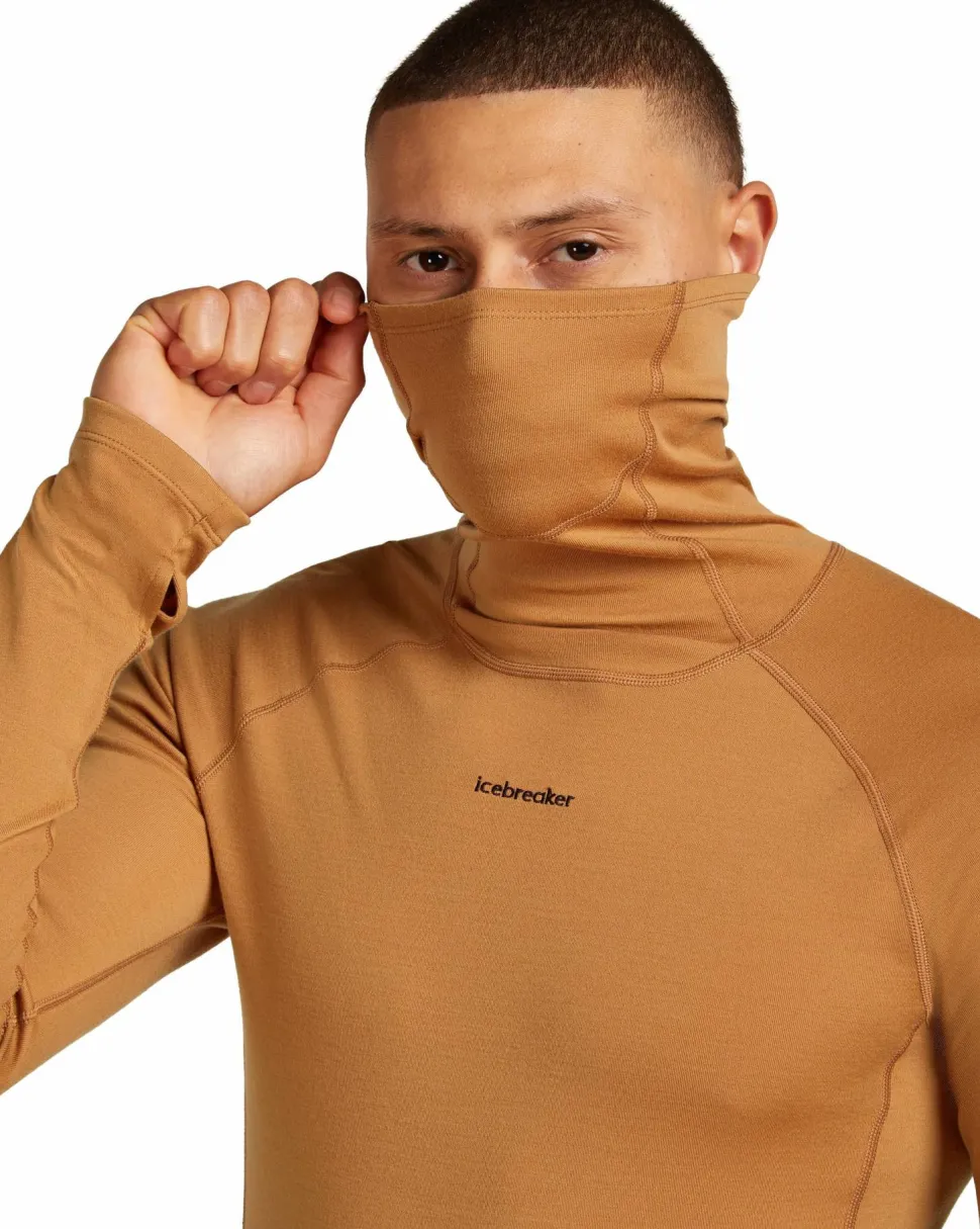 Icebreaker Men's Merino 300 Merinofine™ Polar Long Sleeve Roll Neck Trail