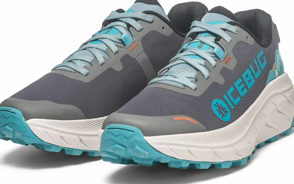 Icebug Men's Arcus 2 RB9X Gore-Tex Mistblue