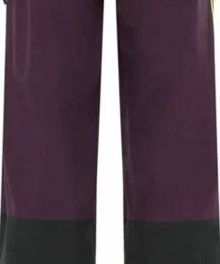 Jack Wolfskin Men's Alpspitze Tour 3l Pants Midnight Plum