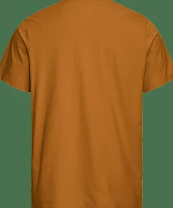 Jack Wolfskin Men's Brand T Autumn Leaves