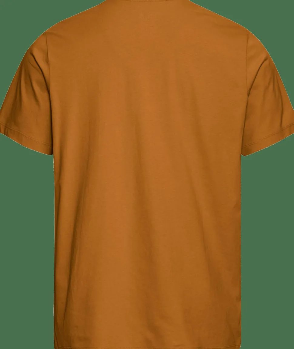 Jack Wolfskin Men's Brand T Autumn Leaves