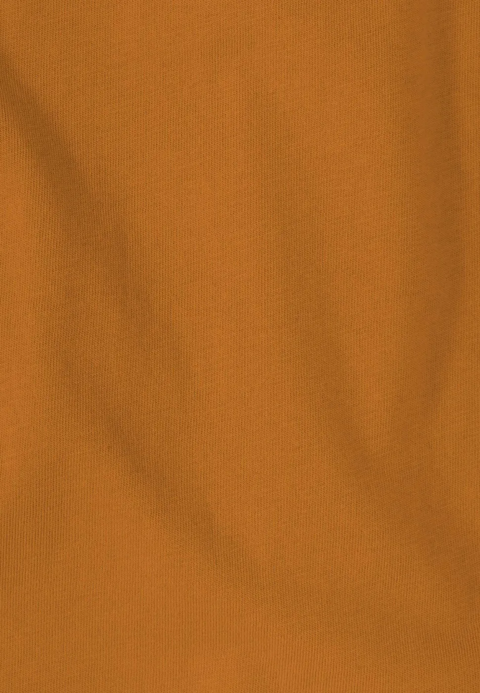 Jack Wolfskin Men's Brand T Autumn Leaves