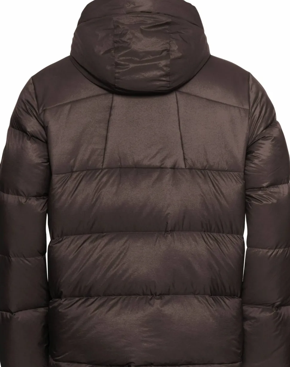 Jack Wolfskin Men's Icy Hill Jacket Rds Peat