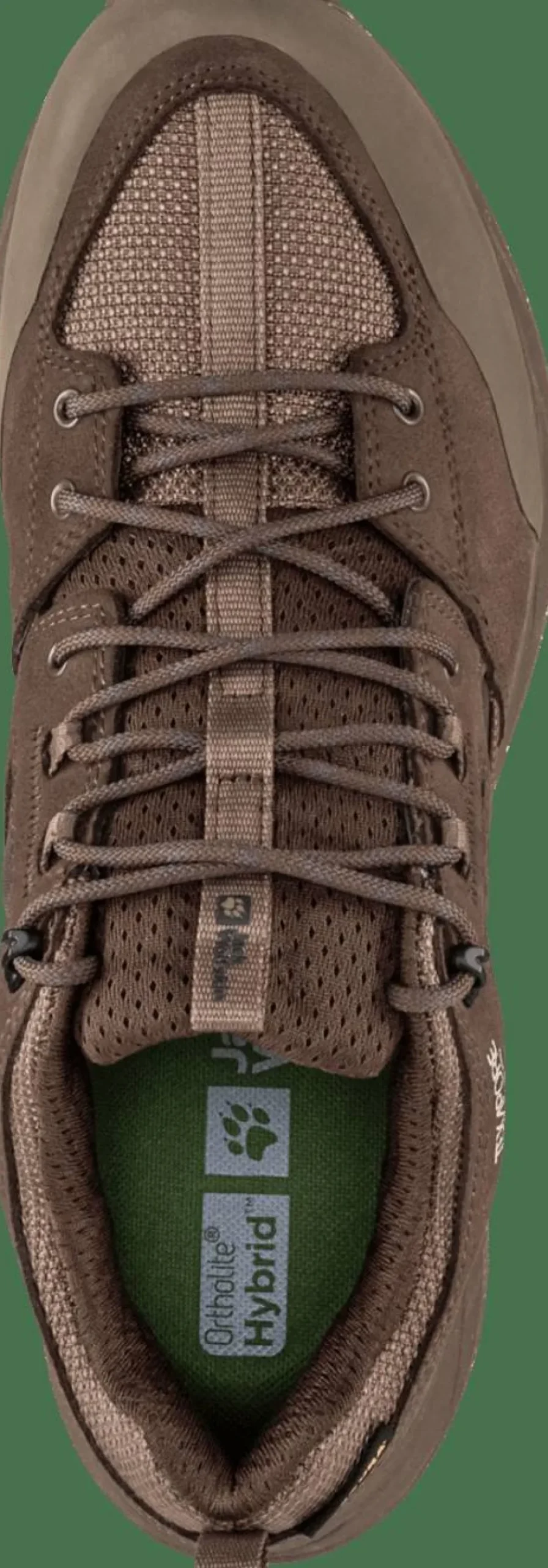 Jack Wolfskin Men's Terraquest Texapore Low Bear
