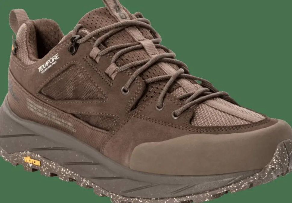 Jack Wolfskin Men's Terraquest Texapore Low Bear