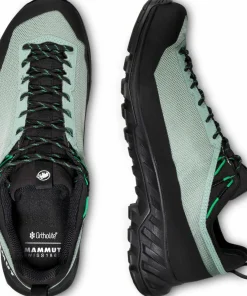 Mammut Men's Alnasca Iv Low Gtx Deep Silver Sage-pinea