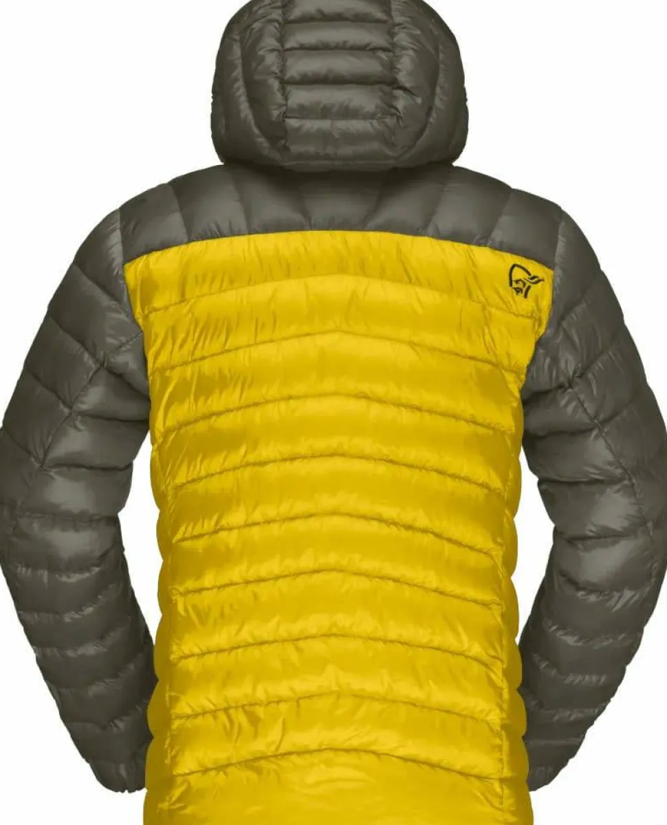 Norrøna Men's Lyngen Down850 Hood Golden Palm