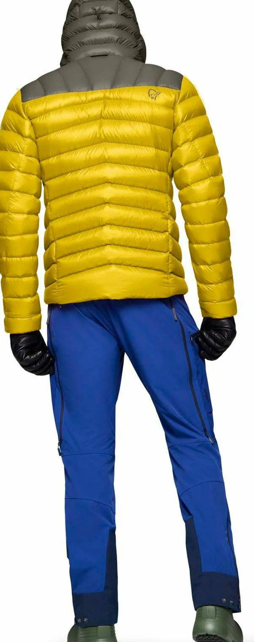 Norrøna Men's Lyngen Down850 Hood Golden Palm