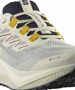 Salomon Men's Aero Blaze 3 Gravel GORE-TEX Vanilla Ice/Astral Aura/Lemon