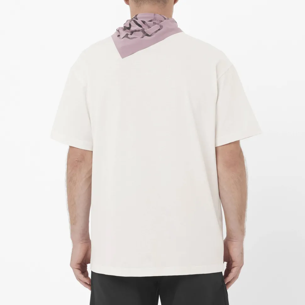 Salomon Men's Salomon RX Logo Tee Whisper White