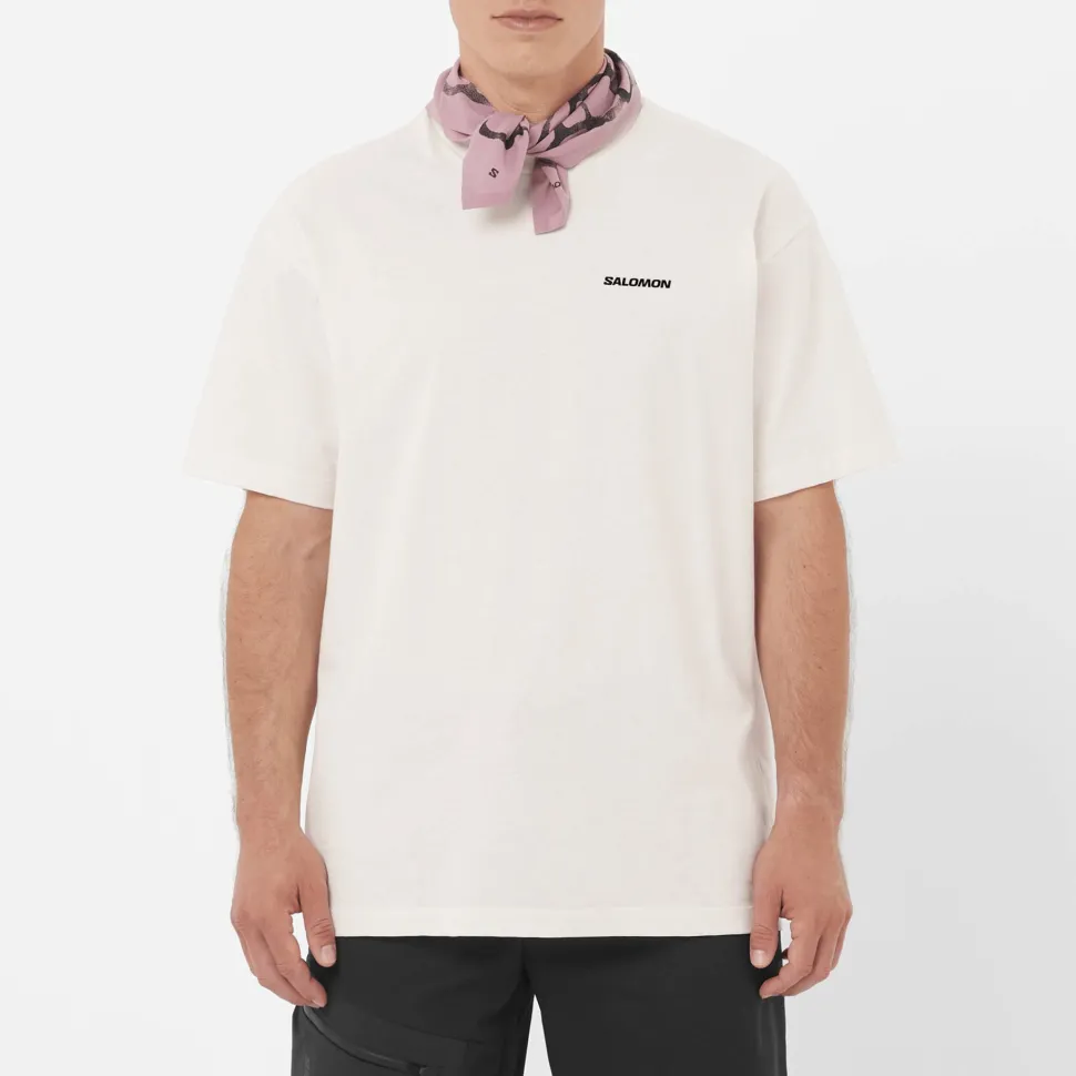 Salomon Men's Salomon RX Logo Tee Whisper White