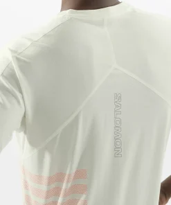 Salomon Men's Sense Aero Graphic Tee GFX Icicle/Neon Flame