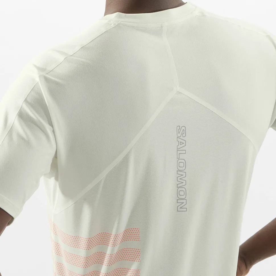 Salomon Men's Sense Aero Graphic Tee GFX Icicle/Neon Flame