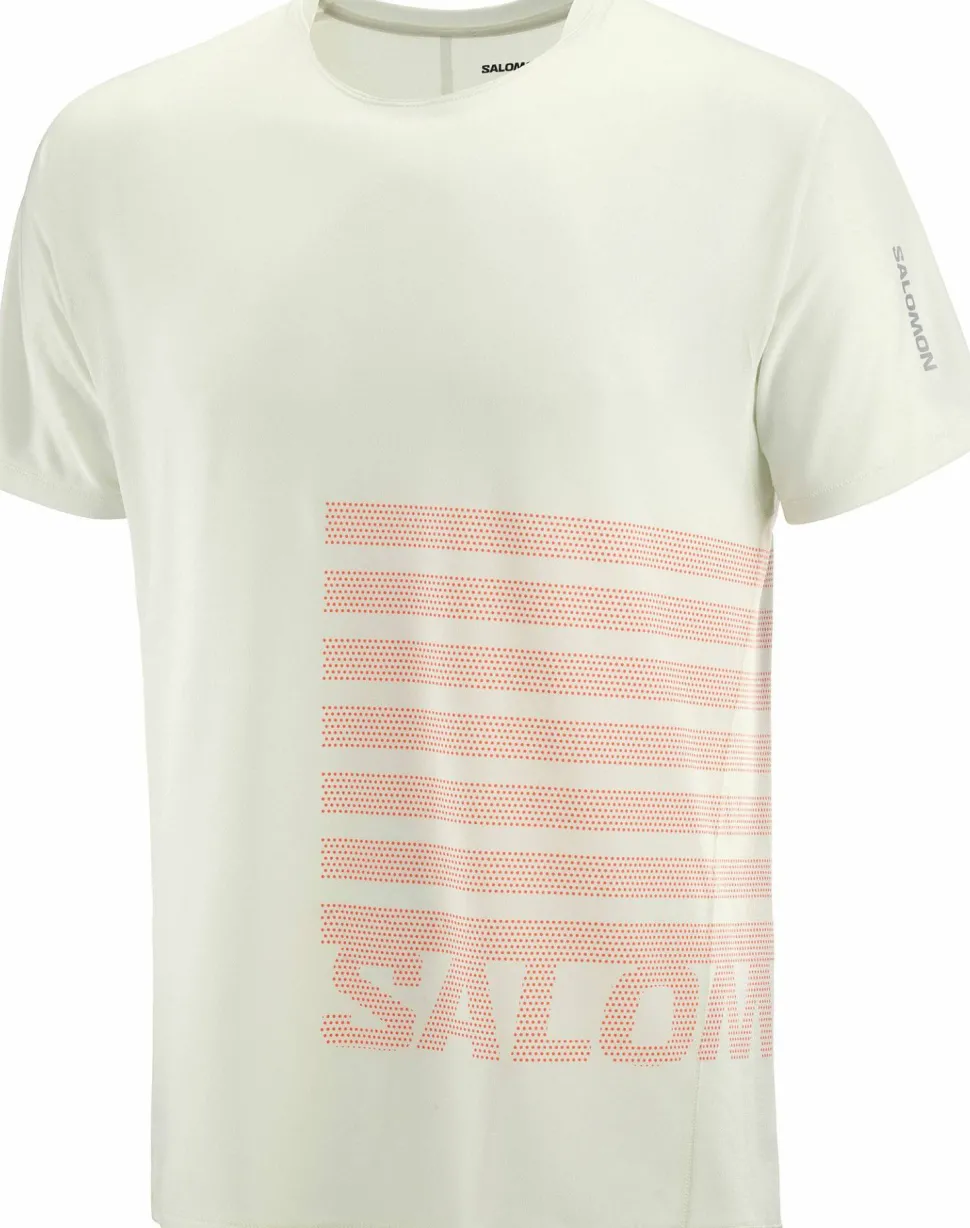 Salomon Men's Sense Aero Graphic Tee GFX Icicle/Neon Flame
