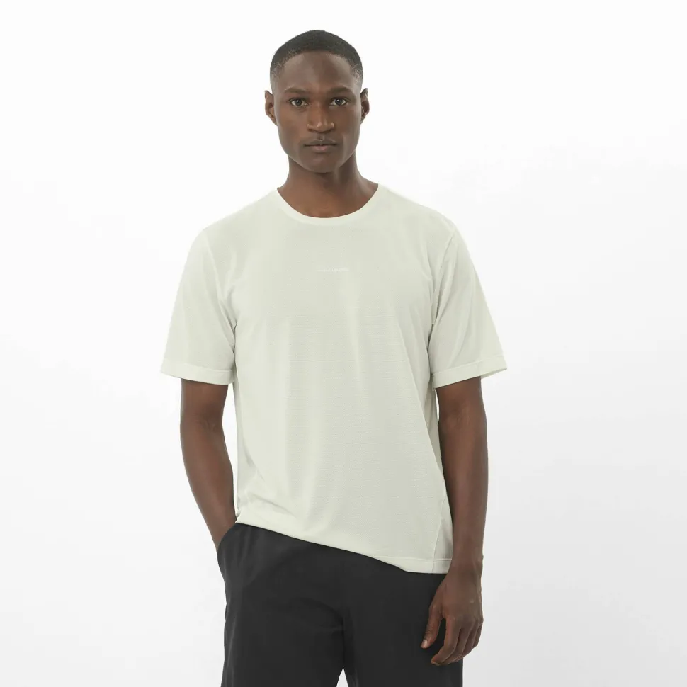 Salomon Men's Shkout Core Short Sleeve Tee Icicle