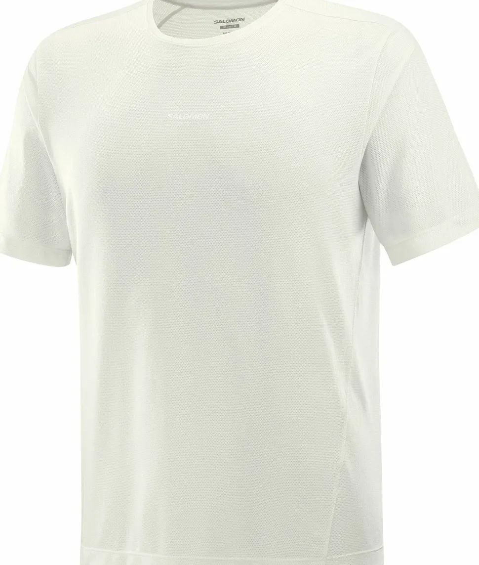 Salomon Men's Shkout Core Short Sleeve Tee Icicle