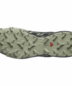 Salomon Men's Speedcross 6 GORE-TEX Grisaille / Carbon / Tea