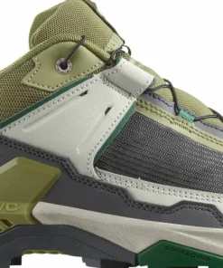 Salomon Men's X Ultra 5 Aloe/asphalt/eden