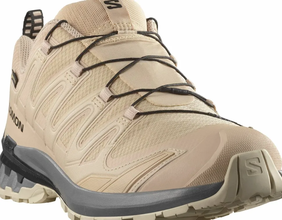 Salomon Men's XA 3D Pro V9 GORE-TEX Oxford Tan/Castlerock/Black