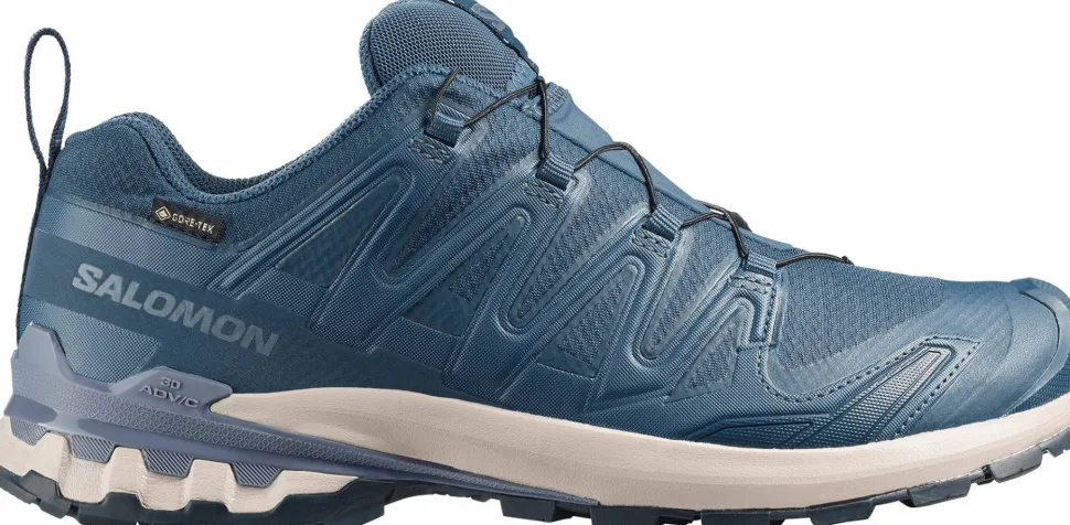 Salomon Men's XA 3D Pro V9 GORE-TEX Spellbound/Grisaille/Maritime Blue