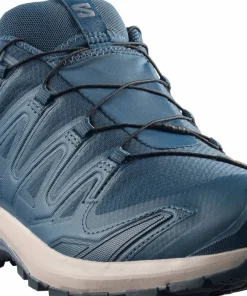 Salomon Men's XA 3D Pro V9 GORE-TEX Spellbound/Grisaille/Maritime Blue