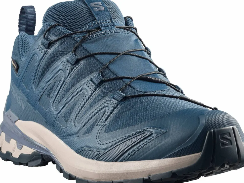Salomon Men's XA 3D Pro V9 GORE-TEX Spellbound/Grisaille/Maritime Blue
