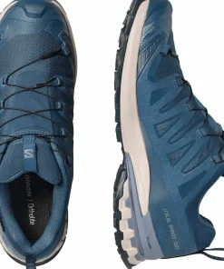 Salomon Men's XA 3D Pro V9 GORE-TEX Spellbound/Grisaille/Maritime Blue