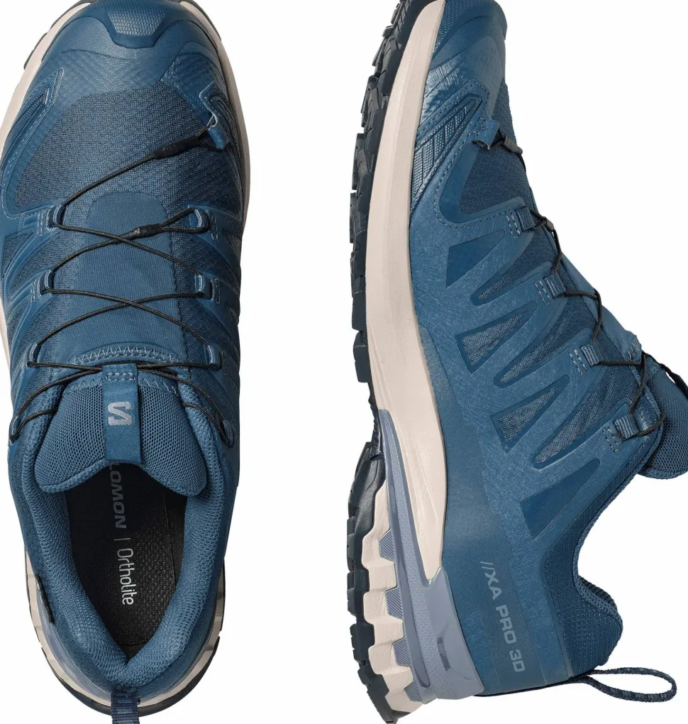 Salomon Men's XA 3D Pro V9 GORE-TEX Spellbound/Grisaille/Maritime Blue