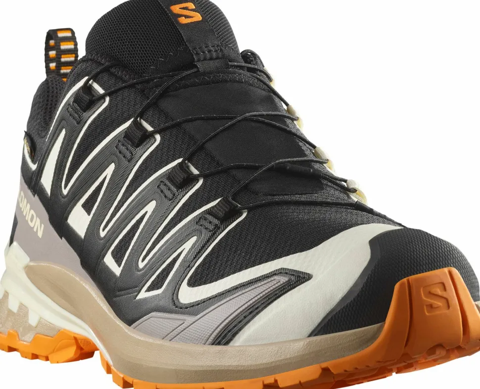 Salomon Men's XA 3D Pro V9 GORE-TEX Black/Vanilla Ice/Turmeric