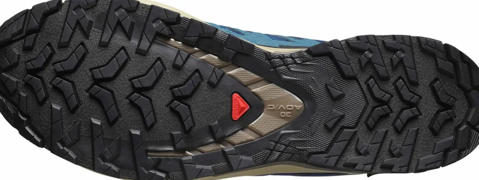 Salomon Men's XA 3D Pro V9 GORE-TEX Poseidon/white Pepper/falcon