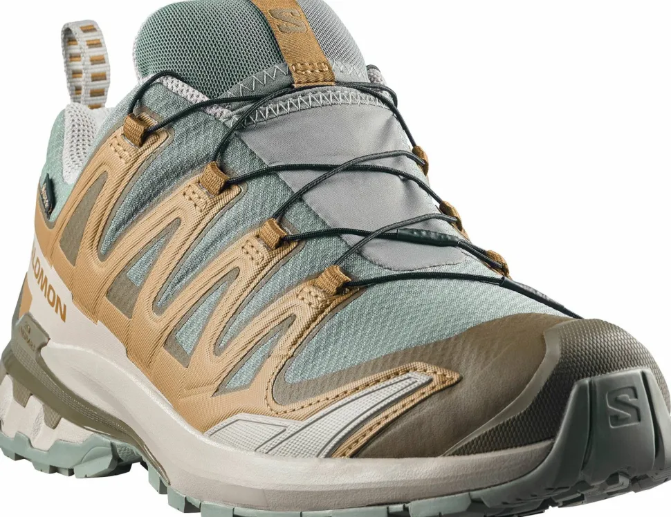 Salomon Men's XA 3D Pro V9 GORE-TEX Sedona Sage/Plantation/Paloma